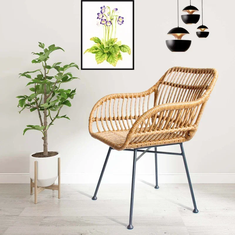 Nordic Dining Chairs for Kitch - đánh giá và giá Outdoor Furniture Kitchener